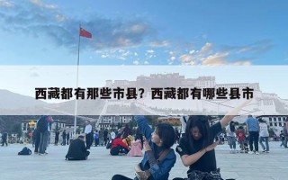 西藏都有那些市縣？西藏都有哪些縣市