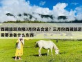 西藏旅游攻略3月份去合適？三月份西藏旅游需要準(zhǔn)備什么東西