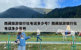 西藏旅游旅行社電話多少號？西藏旅游旅行社電話多少號啊