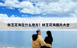 林芝花海在什么地方？林芝花海圖片大全