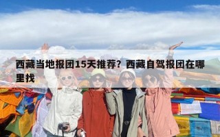 西藏當地報團15天推薦？西藏自駕報團在哪里找