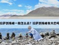 拉薩到珠峰一般怎么去？拉薩到珠峰有大巴嗎