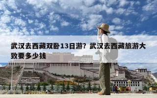 武漢去西藏雙臥13日游？武漢去西藏旅游大致要多少錢