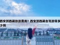 西安到西藏旅游費(fèi)用？西安到西藏自駕游得多少錢(qián)