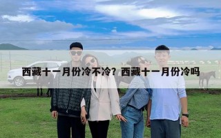 西藏十一月份冷不冷？西藏十一月份冷嗎