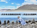 1月份有去西藏旅游的嗎？1月適合去西藏嗎