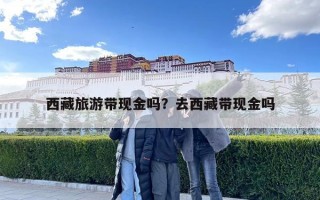 西藏旅游帶現金嗎？去西藏帶現金嗎