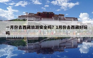 一月份去西藏旅游安全嗎？1月份去西藏好玩嗎