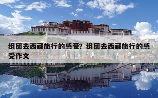 組團(tuán)去西藏旅行的感受？組團(tuán)去西藏旅行的感受作文