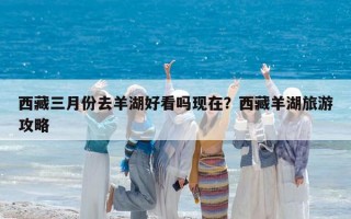 西藏三月份去羊湖好看嗎現(xiàn)在？西藏羊湖旅游攻略