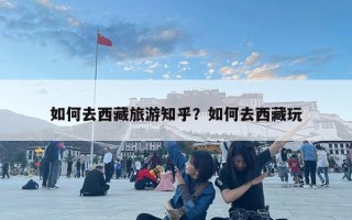 如何去西藏旅游知乎？如何去西藏玩