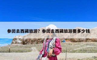 參團去西藏旅游？參團去西藏旅游要多少錢