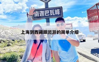 上海到西藏跟團游的簡單介紹