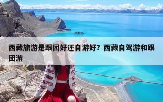 西藏旅游是跟團(tuán)好還自游好？西藏自駕游和跟團(tuán)游