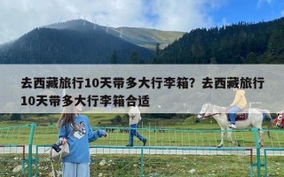 去西藏旅行10天帶多大行李箱？去西藏旅行10天帶多大行李箱合適