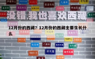 12月份的西藏？12月份的西藏主要生長什么