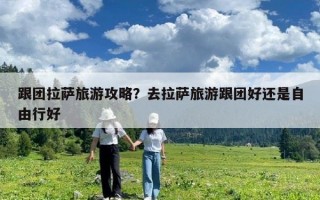 跟團(tuán)拉薩旅游攻略？去拉薩旅游跟團(tuán)好還是自由行好