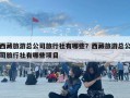 西藏旅游總公司旅行社有哪些？西藏旅游總公司旅行社有哪些項目