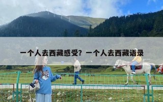 一個人去西藏感受？一個人去西藏語錄