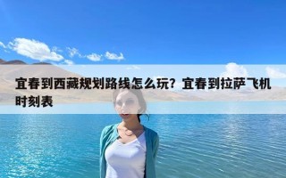 宜春到西藏規(guī)劃路線怎么玩？宜春到拉薩飛機(jī)時(shí)刻表