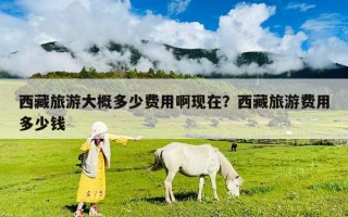 西藏旅游大概多少費用啊現在？西藏旅游費用多少錢