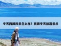 冬天西藏風(fēng)景怎么樣？西藏冬天旅游景點(diǎn)