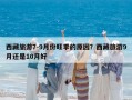 西藏旅游7-9月份旺季的原因？西藏旅游9月還是10月好