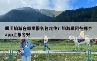 跟團旅游在哪里報名包吃住？旅游跟團在哪個app上報名好