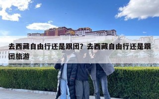 去西藏自由行還是跟團？去西藏自由行還是跟團旅游