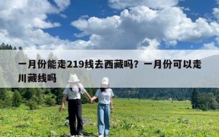 一月份能走219線去西藏嗎？一月份可以走川藏線嗎