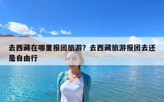 去西藏在哪里報團旅游？去西藏旅游報團去還是自由行