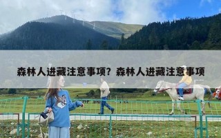 森林人進藏注意事項？森林人進藏注意事項