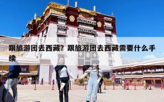 跟旅游團去西藏？跟旅游團去西藏需要什么手續