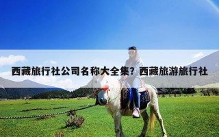 西藏旅行社公司名稱大全集？西藏旅游旅行社