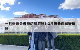 一月份適合去拉薩旅游嗎？1月份去西藏好玩嗎