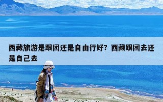 西藏旅游是跟團還是自由行好？西藏跟團去還是自己去