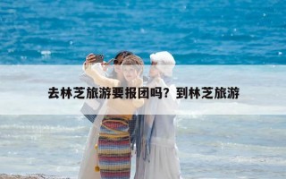 去林芝旅游要報(bào)團(tuán)嗎？到林芝旅游