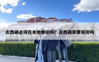 去西藏必須在本地參團嗎？去西藏需要報團嗎