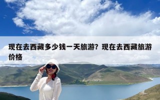 現在去西藏多少錢一天旅游？現在去西藏旅游價格