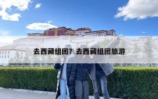 去西藏組團(tuán)？去西藏組團(tuán)旅游