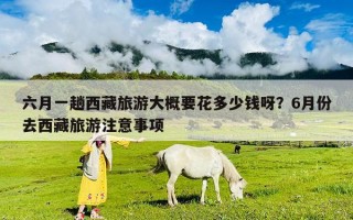 六月一趟西藏旅游大概要花多少錢呀？6月份去西藏旅游注意事項