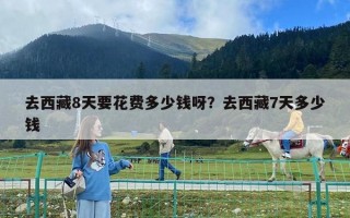 去西藏8天要花費(fèi)多少錢呀？去西藏7天多少錢