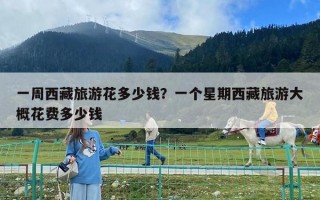 一周西藏旅游花多少錢？一個(gè)星期西藏旅游大概花費(fèi)多少錢