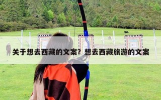 關于想去西藏的文案？想去西藏旅游的文案