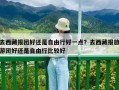 去西藏報團好還是自由行好一點？去西藏報旅游團好還是自由行比較好