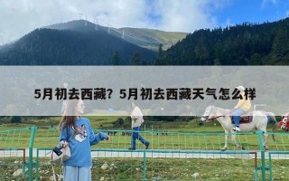 5月初去西藏？5月初去西藏天氣怎么樣