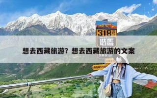 想去西藏旅游？想去西藏旅游的文案