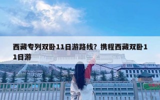 西藏專列雙臥11日游路線？攜程西藏雙臥11日游