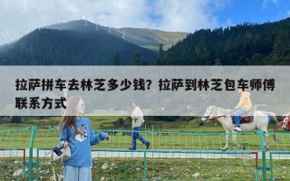 拉薩拼車去林芝多少錢？拉薩到林芝包車師傅聯(lián)系方式