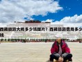 西藏旅游大概多少錢圖片？西藏旅游費(fèi)用多少錢